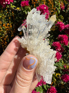Lemurian ‘Mango’ Quartz Cluster