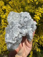 Cubic Sugar Coated Fluorite ‘Dragon’ Specimen