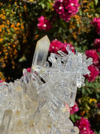 Lemurian ‘Mango’ Quartz Cluster