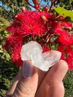 Himalayan Quartz Cluster