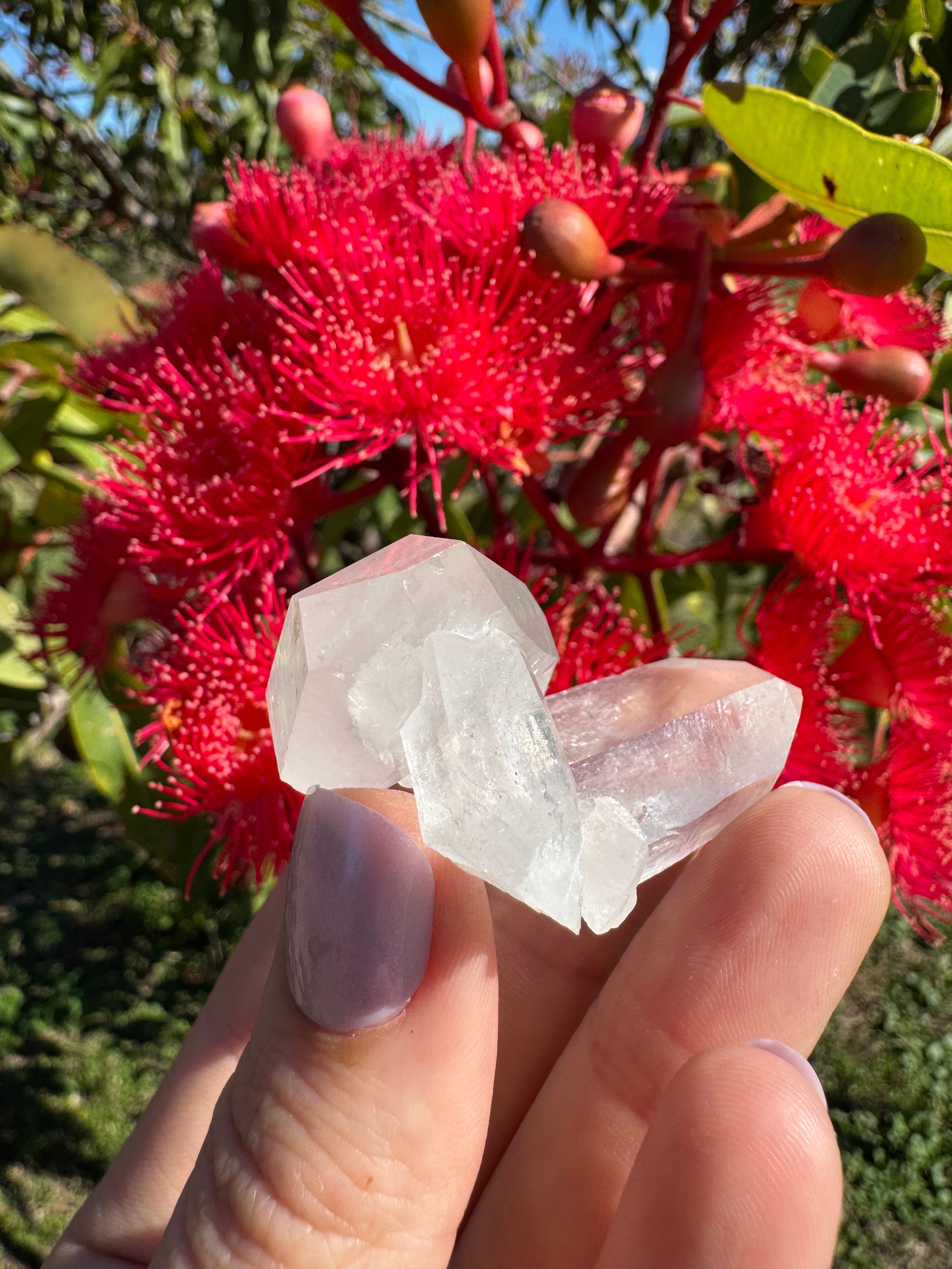 Himalayan Quartz Cluster
