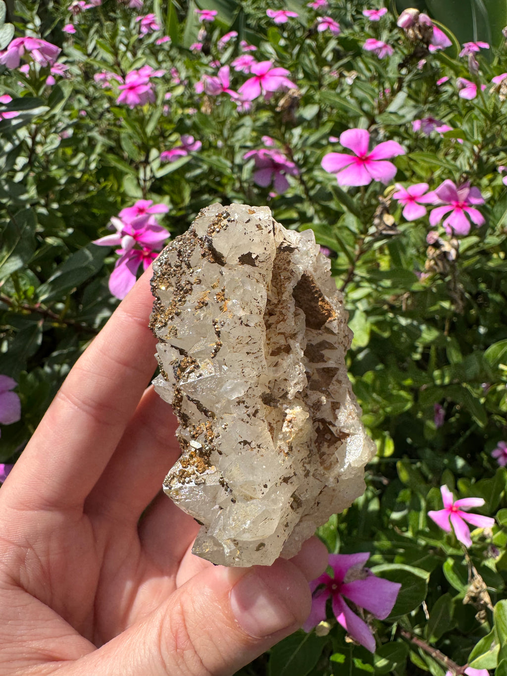 Pyrite on Quartz Specimen - High Quality