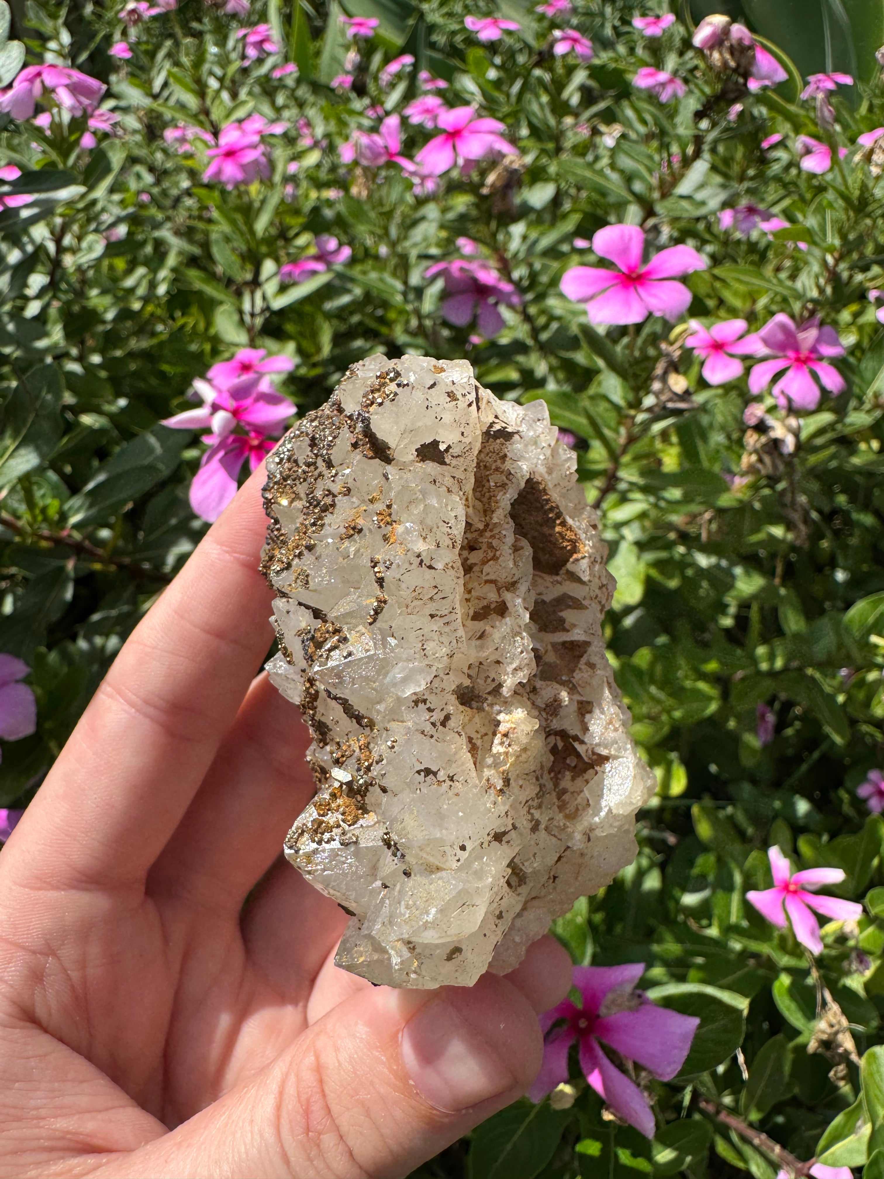 Pyrite on Quartz Specimen - High Quality