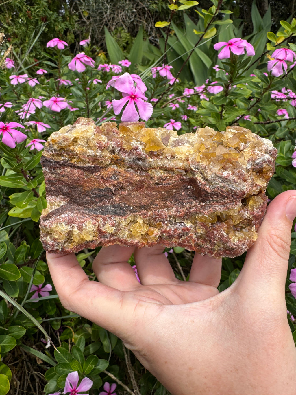 Yellow Cubic Fluorite on Iron-Stained Quartz Specimen