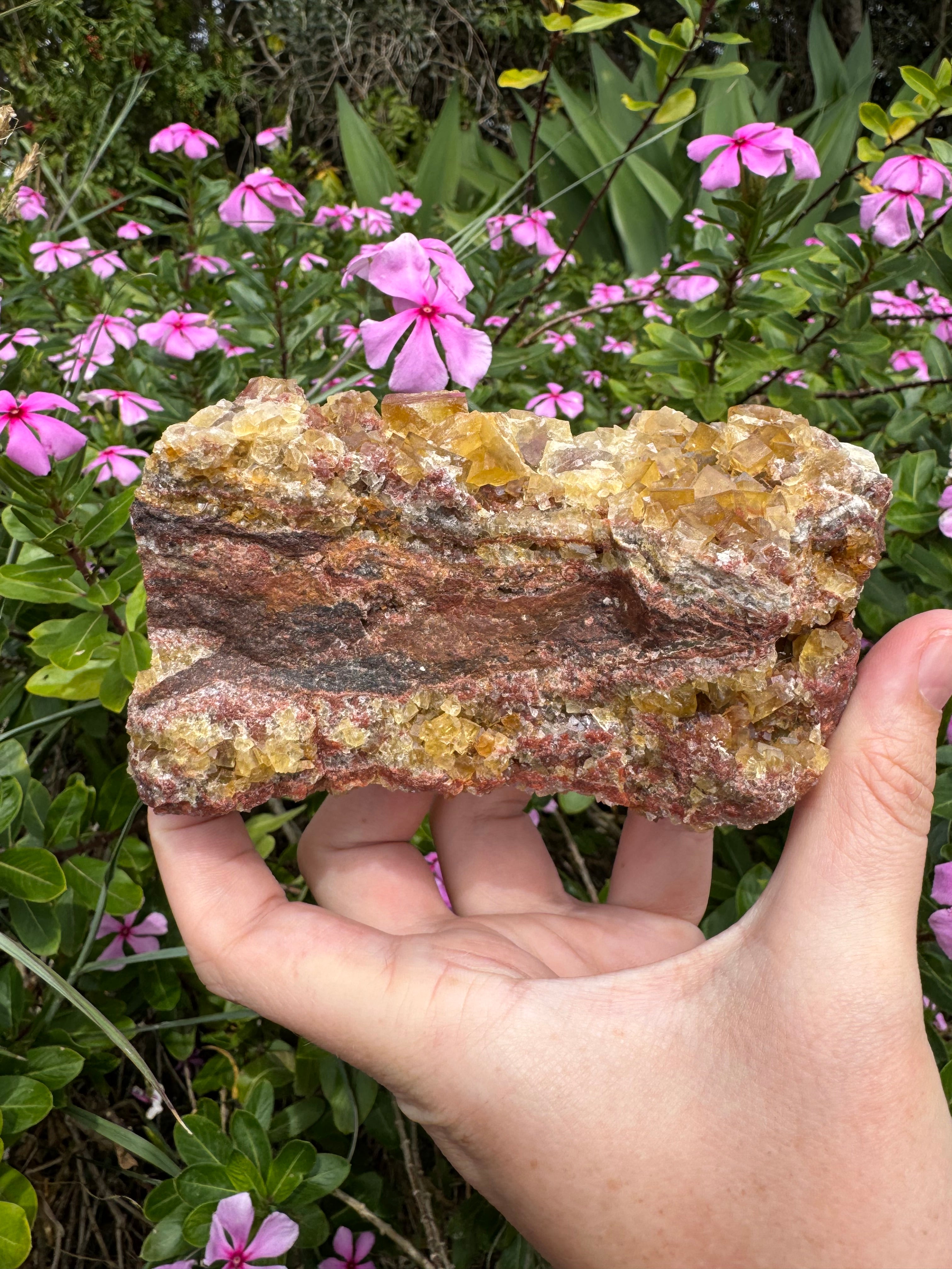 Yellow Cubic Fluorite on Iron-Stained Quartz Specimen