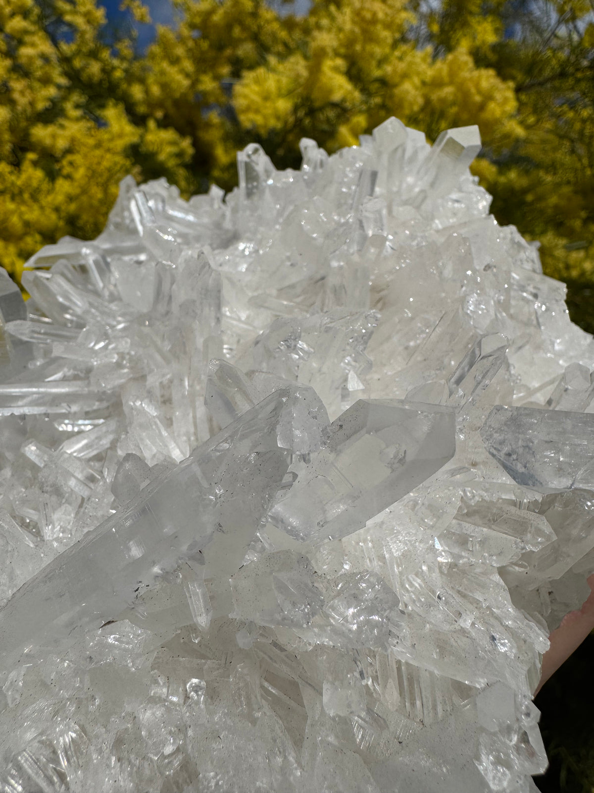 Clear Quartz Cluster