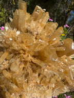 Selenite ‘Gypsum’ Natural Specimen