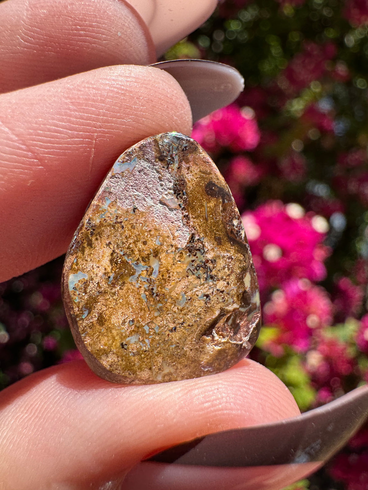 Polished Boulder Opal | Karoit