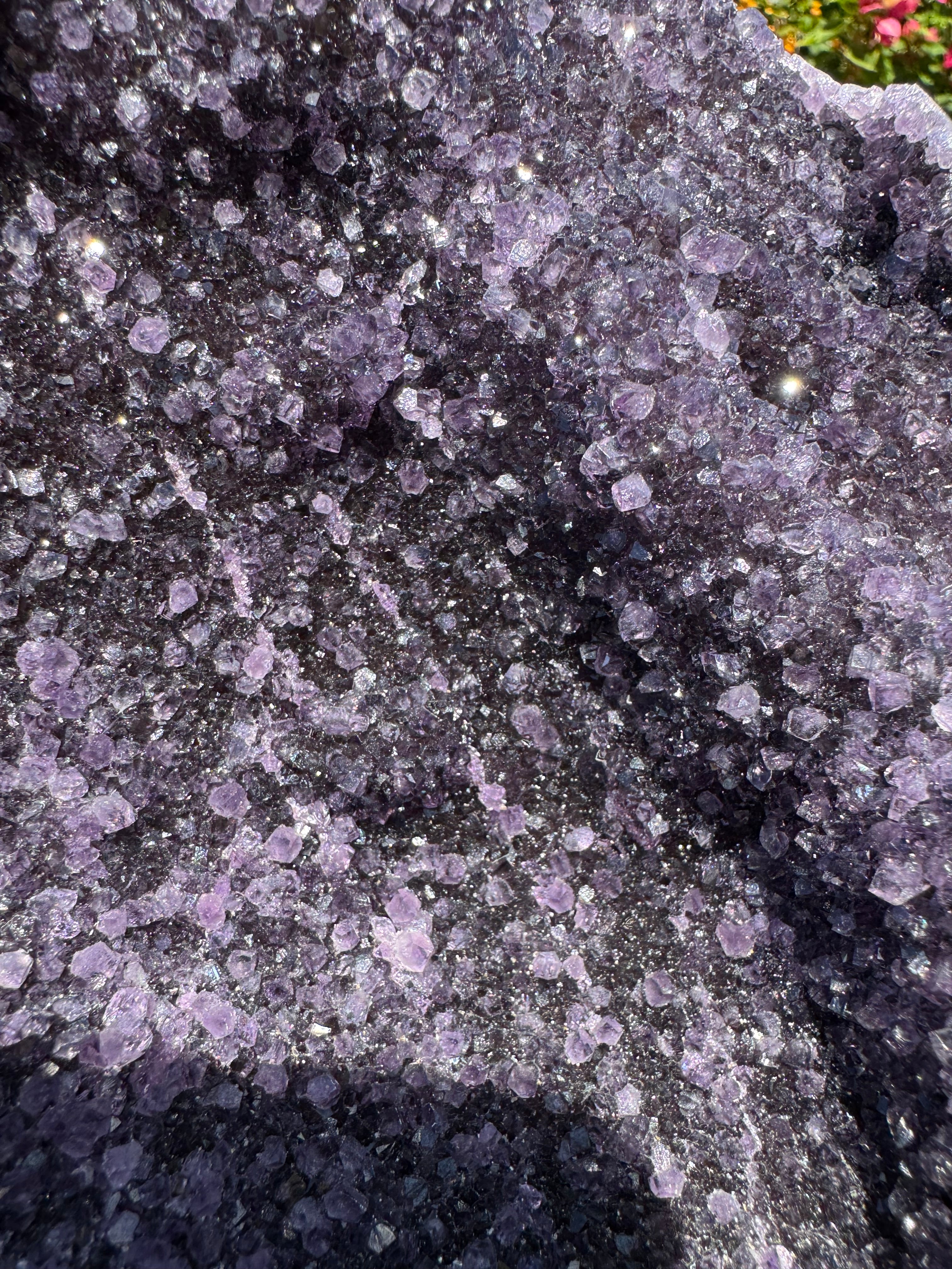Amethyst Druzy Standing Geode
 - 2.362kg