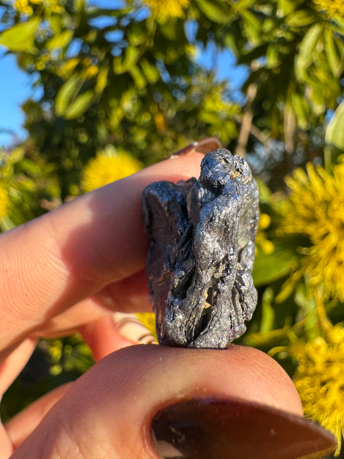 Molybdenite Specimen | Kingsgate