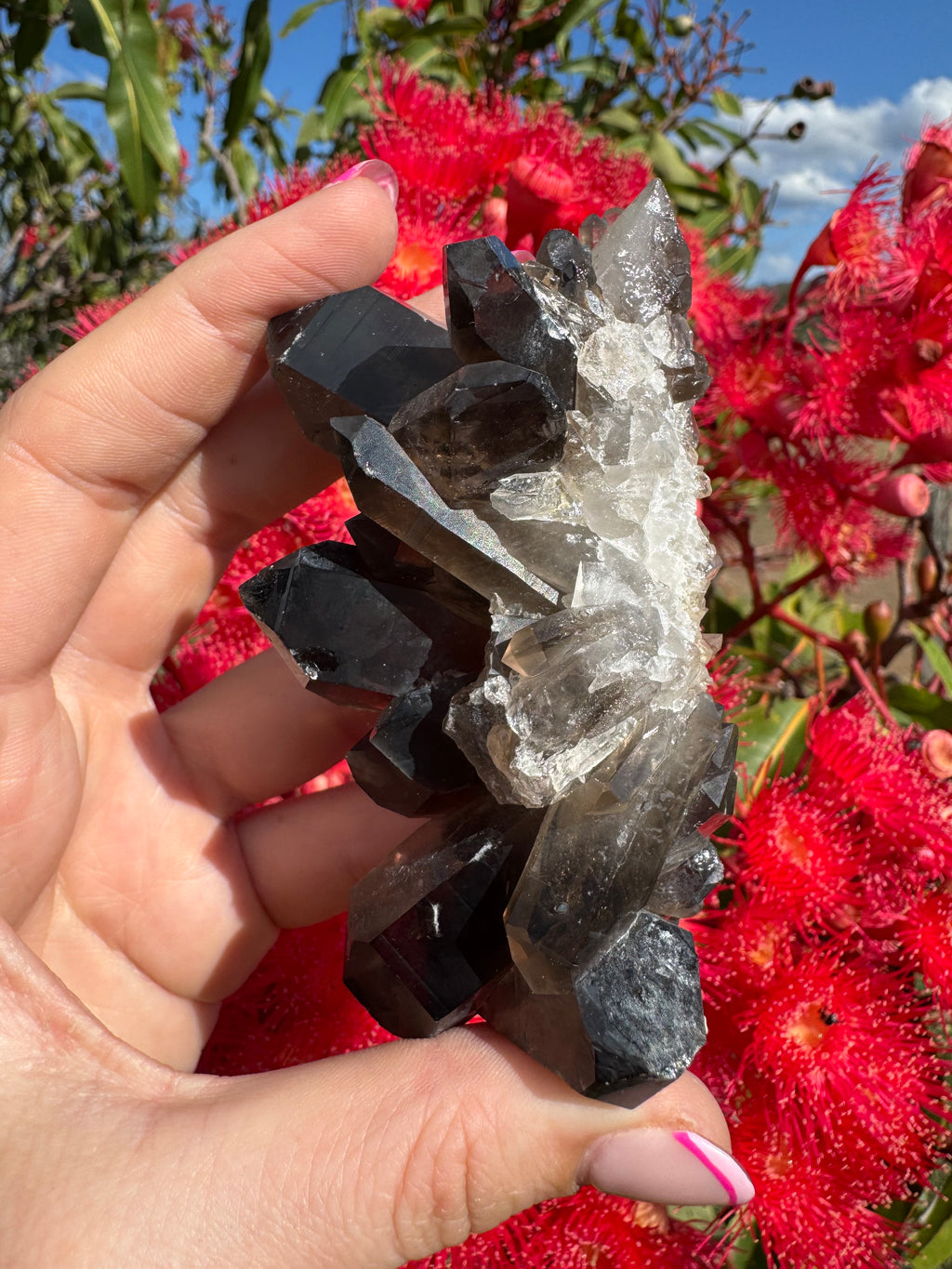 Deep Black Smoky Quartz Cluster