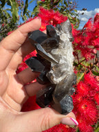 Deep Black Smoky Quartz Cluster