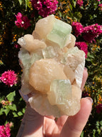 Green ‘Cube’ Apophyllite Specimen