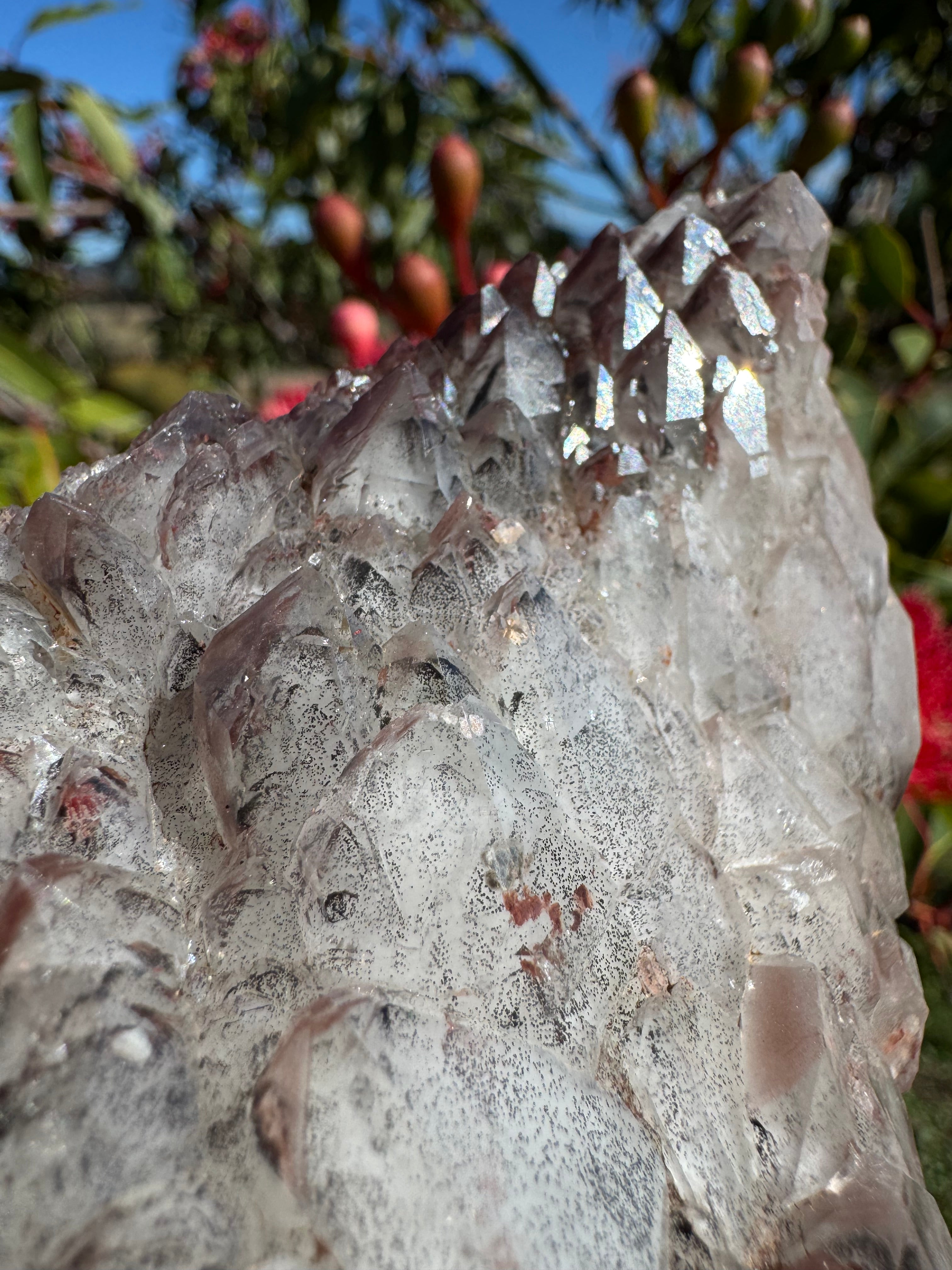 Hematite Coated Smoky Quartz Cluster - Mt Isa