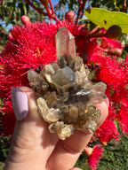 Hematite Phantom Quartz Cluster - Torrington