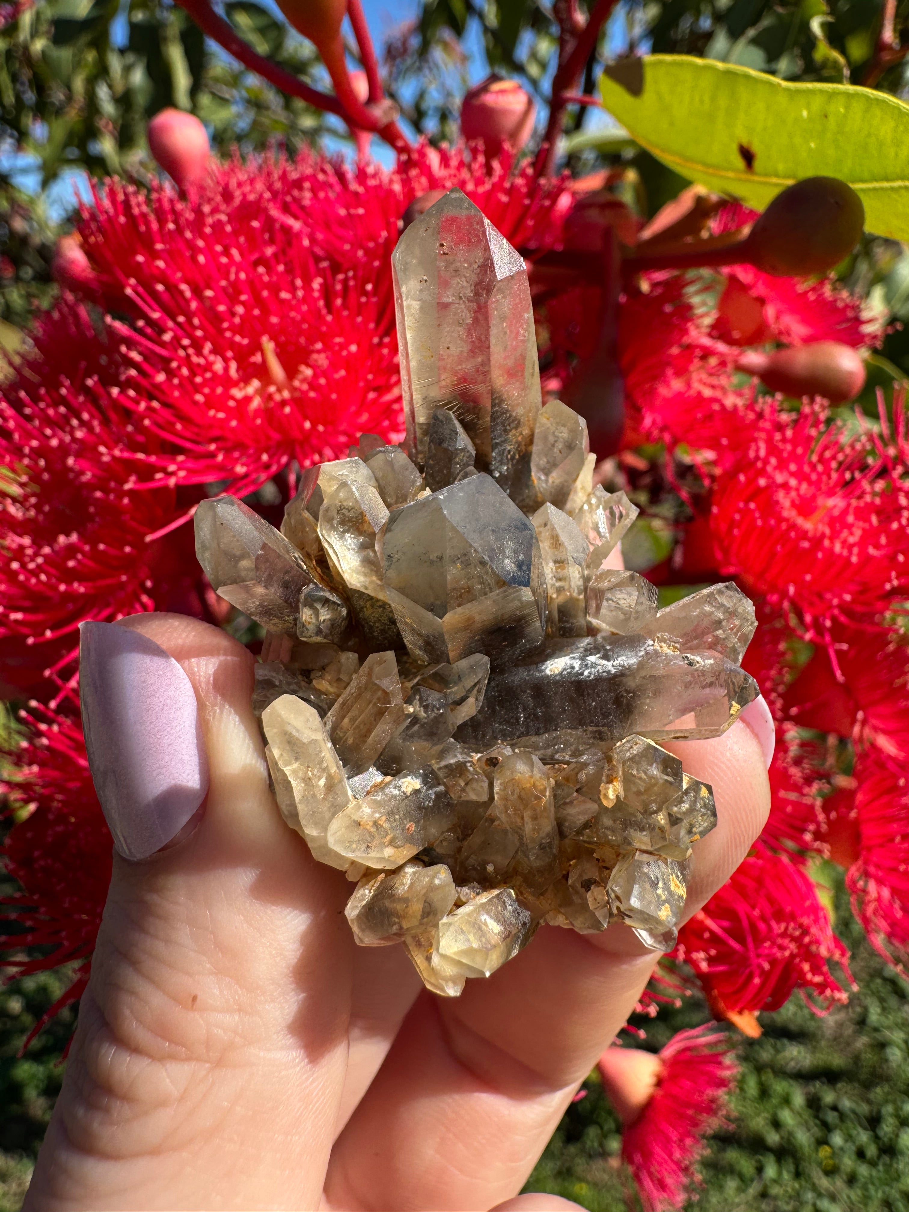 Hematite Phantom Quartz Cluster - Torrington