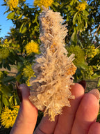 Selenite ‘Gypsum’ Natural Specimen - Chillingollah