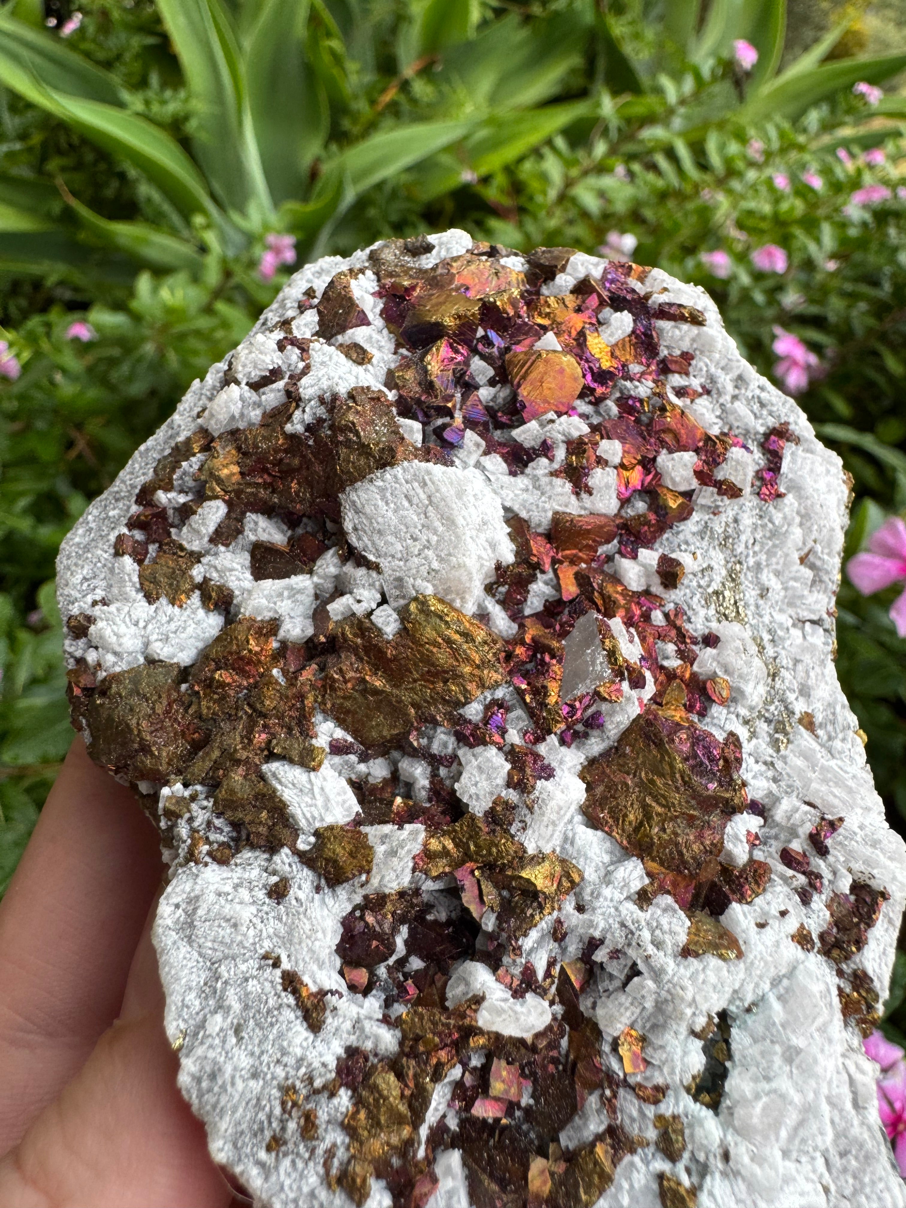 Chalcopyrite + UV Mangano Calcite Specimen