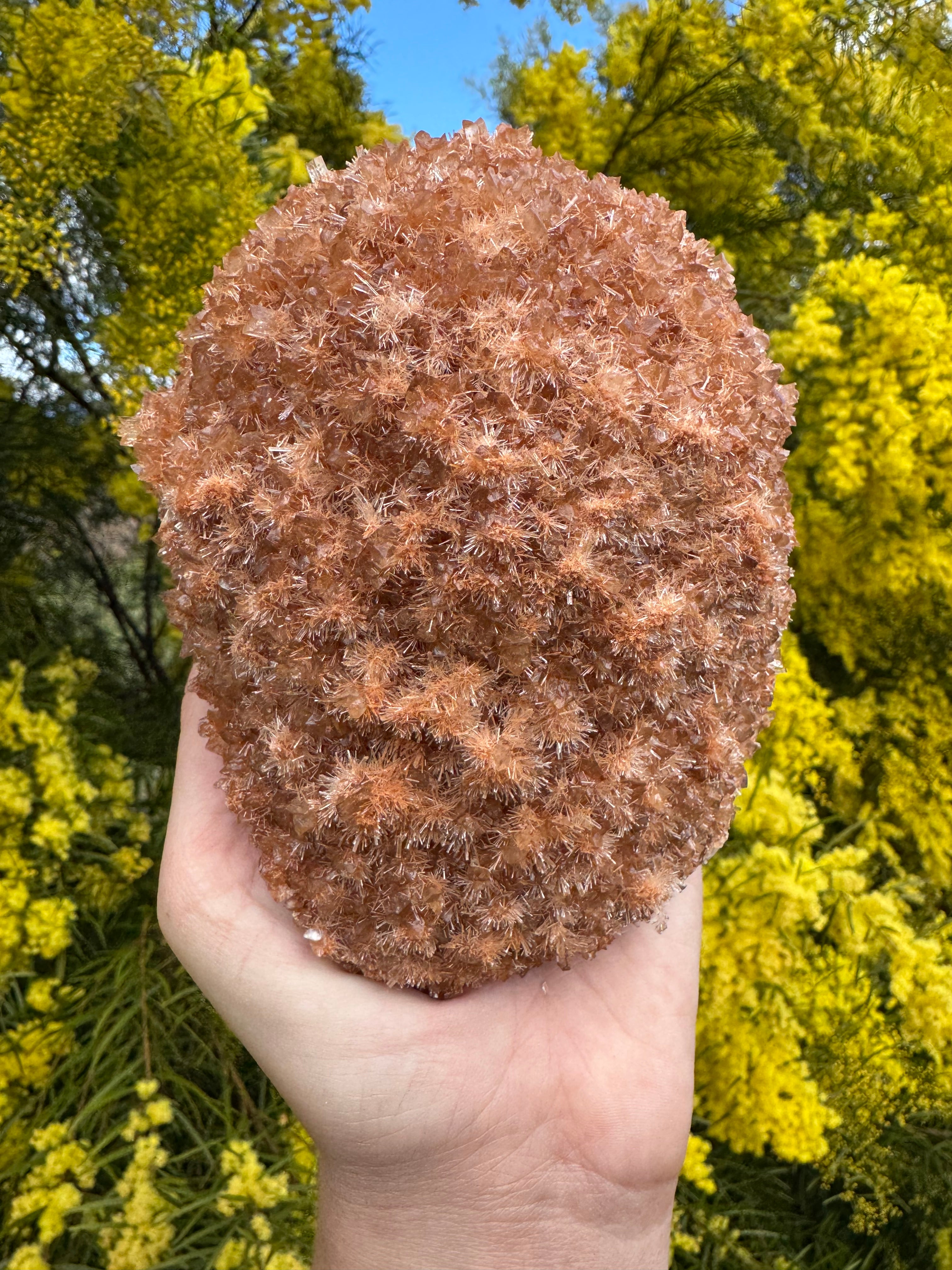 Red Selenite ‘Gypsum’ Specimen - Port Hedland