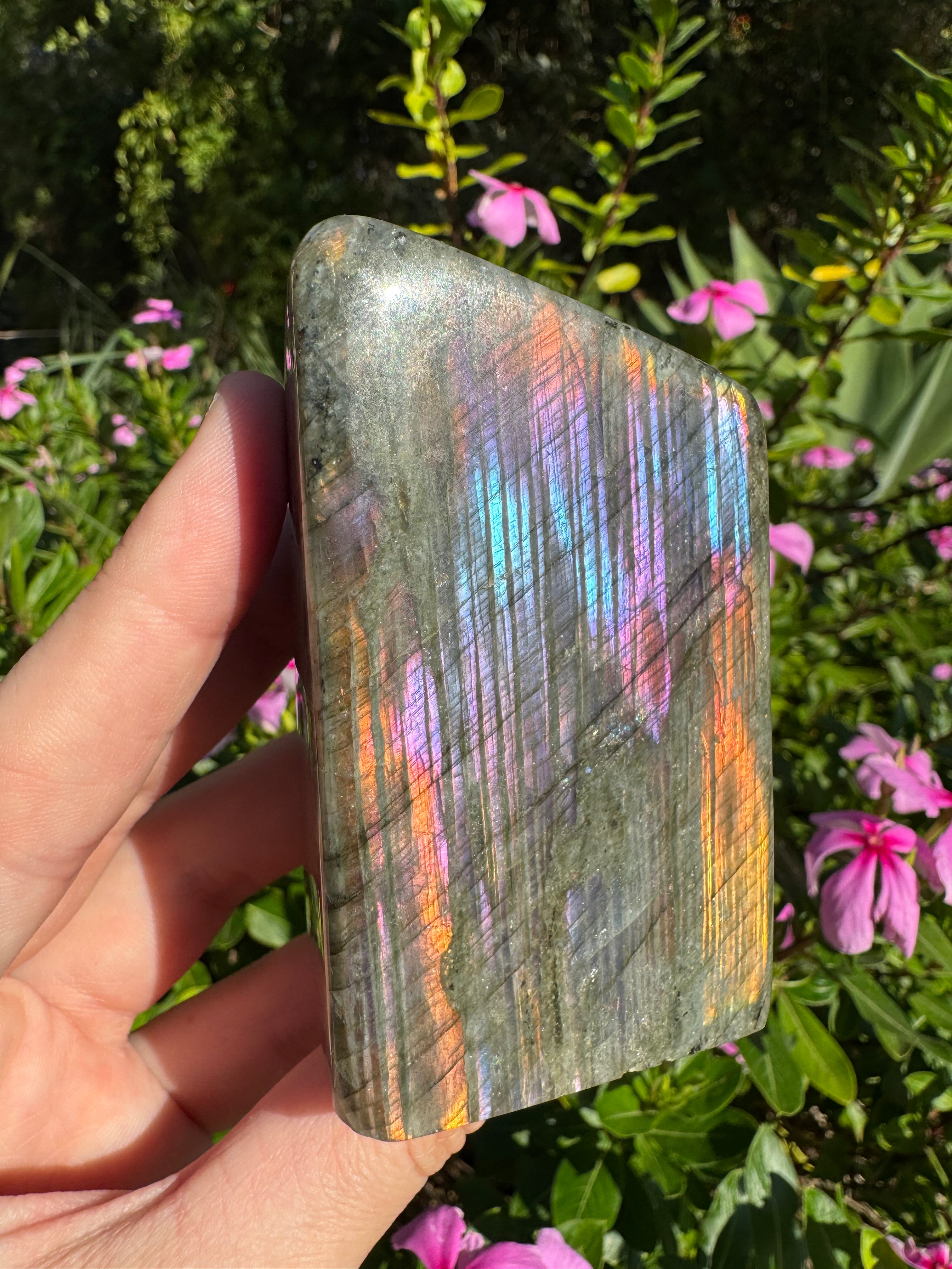 Labradorite Standing Freeform