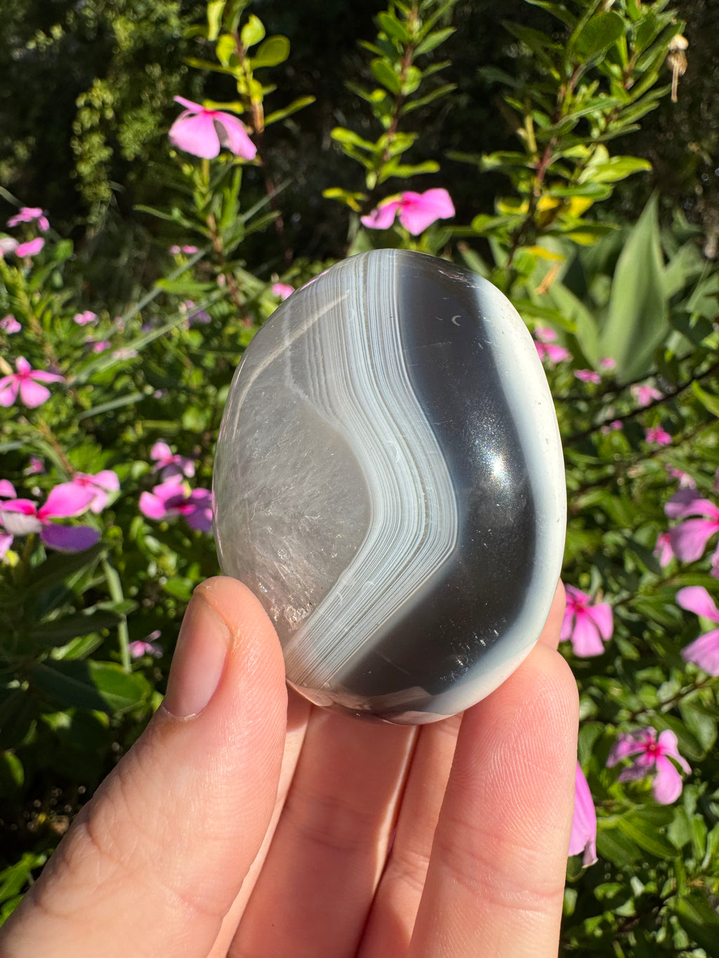 Orca Agate Palm Stone