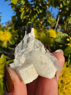 Green Tourmaline Twins In Quartz Specimen | Stak Nala