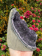 Amethyst Druzy Standing Geode
 - 2.362kg