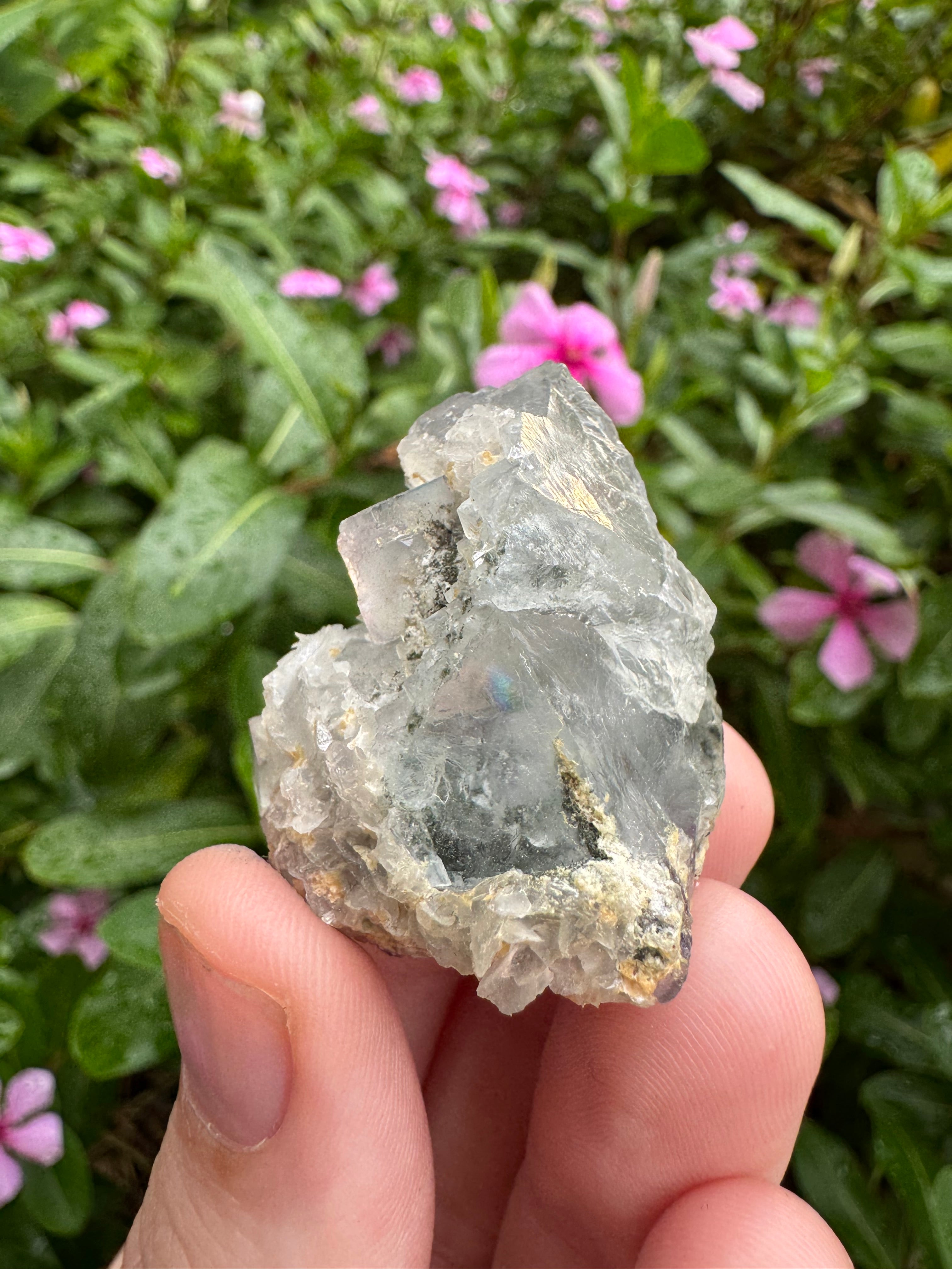 Blue Cubic Fluorite Cluster