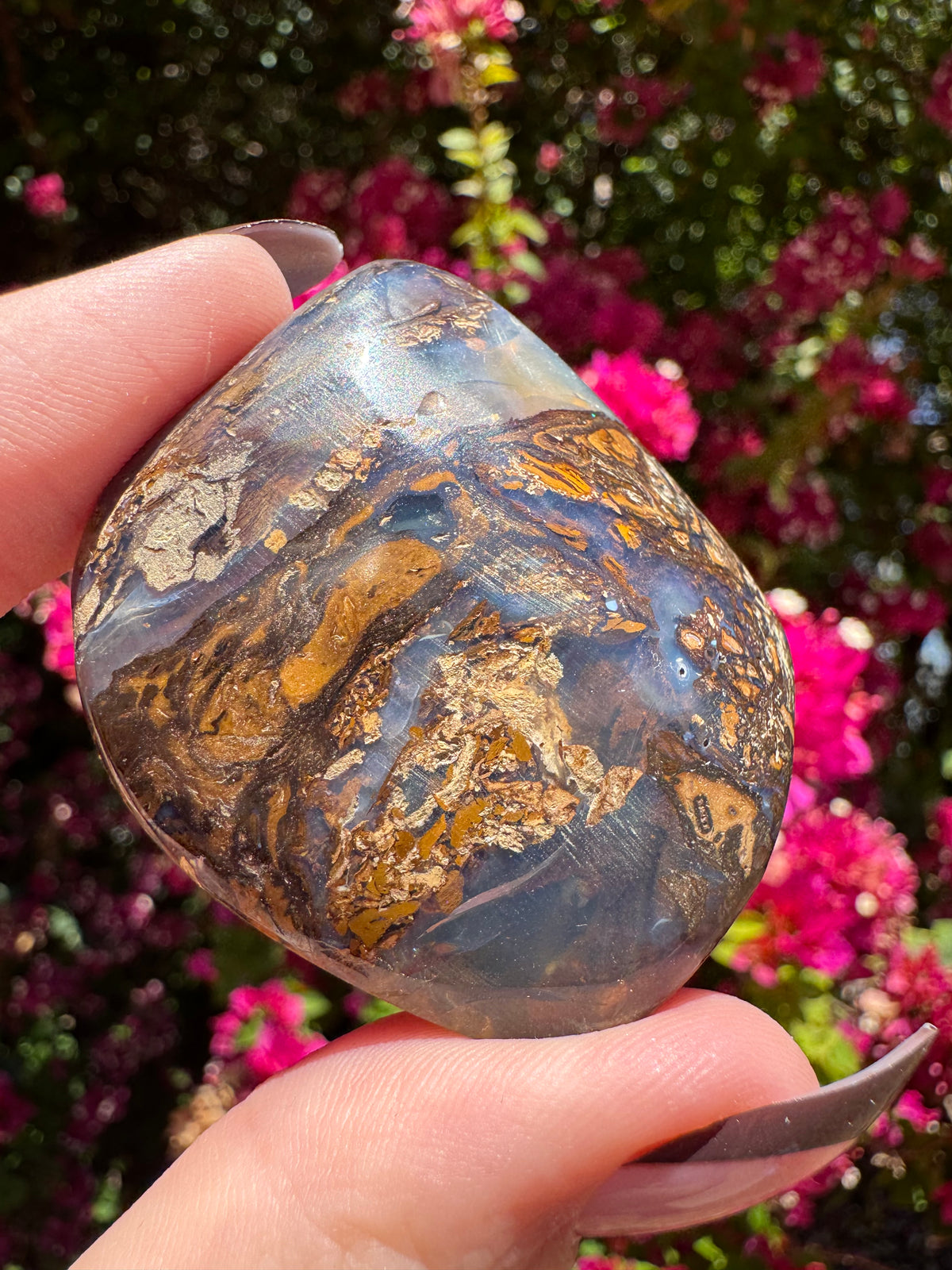 Polished Boulder Opal | Karoit