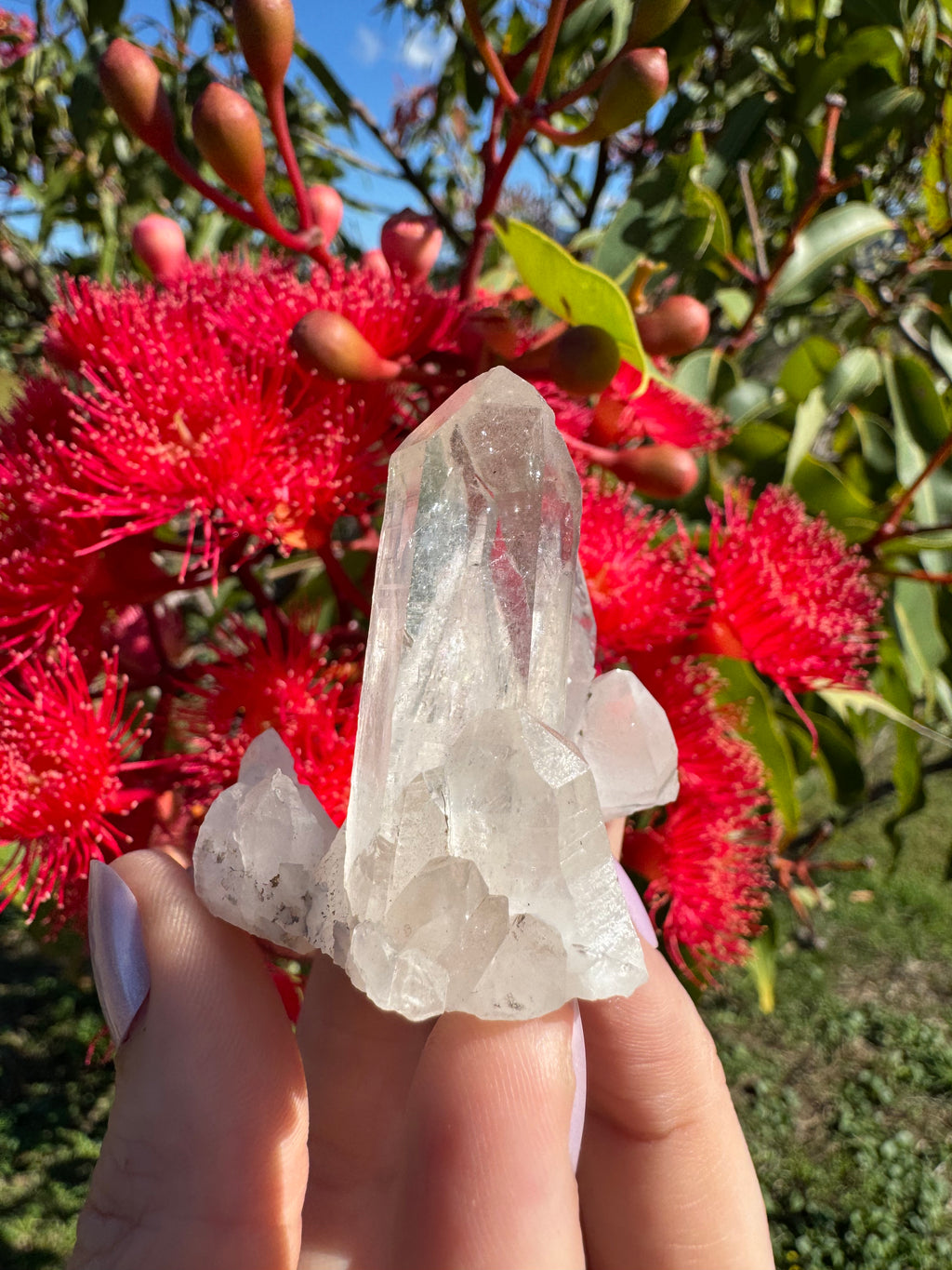 Himalayan Quartz Cluster