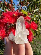 Himalayan Quartz Cluster