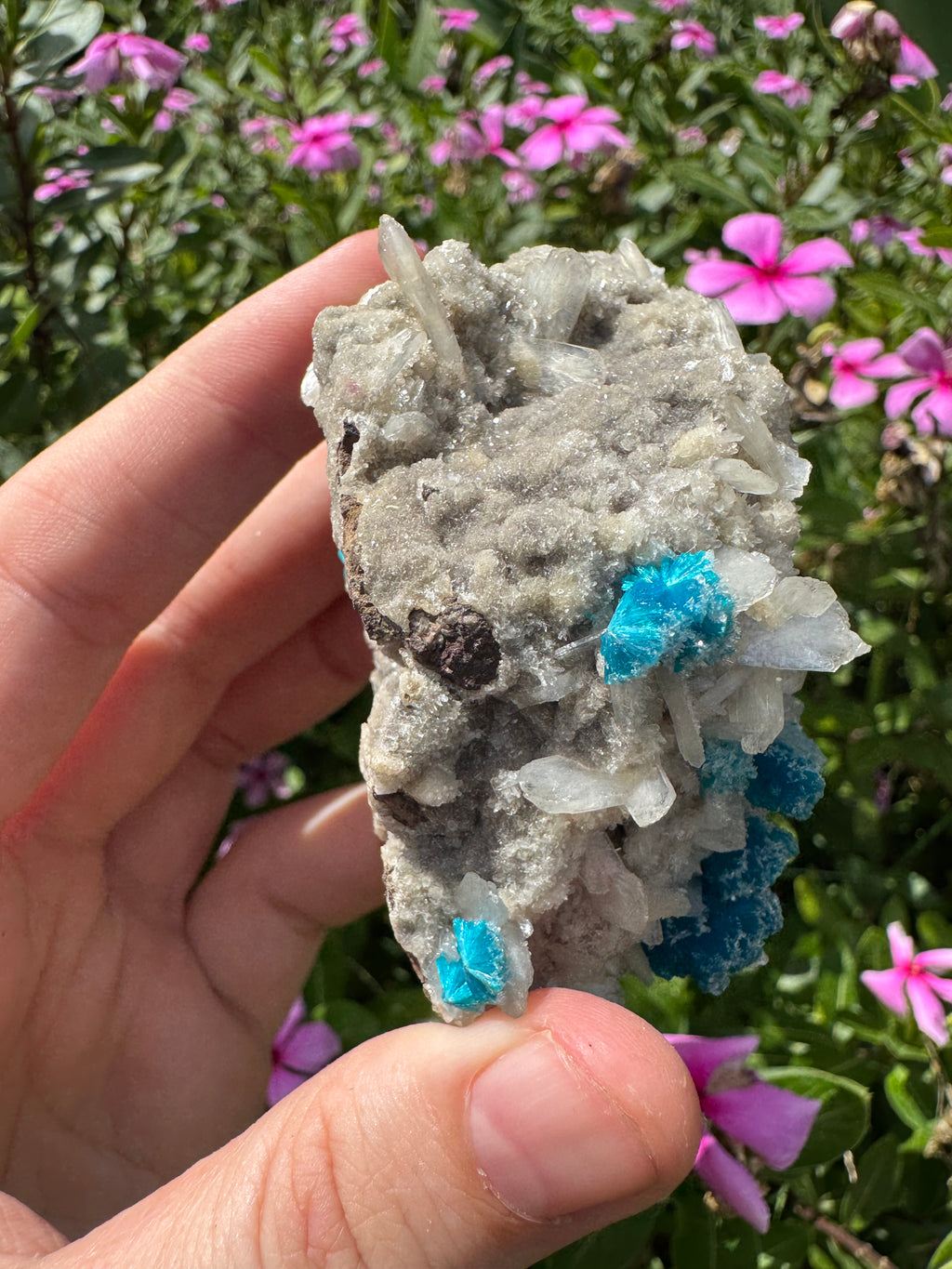 Cavansite On Zeolite Mineral Specimen