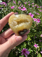 Septarian Cluster Heart with Stand