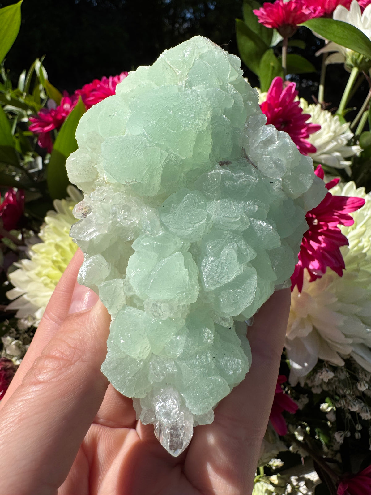 Quartz On Botryoidal Prehnite with Black Tourmaline Specimen