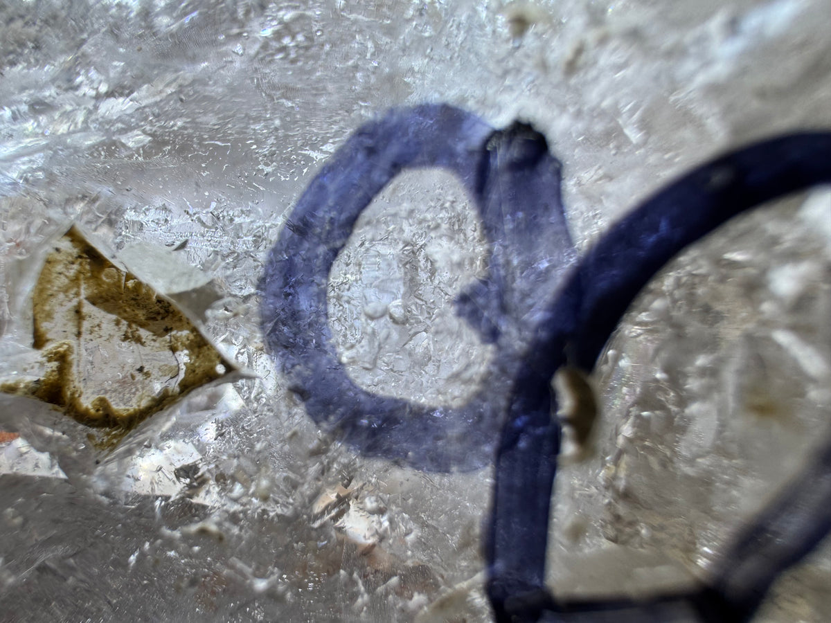 Rare Windowed Included Smoky Quartz Freeform - Triple Enhydro
