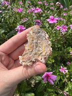 Vanadinite on Barite Specimen
