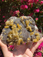 Golden Barite With Botryoidal Chocolate Calcite Specimen | 1.6kg