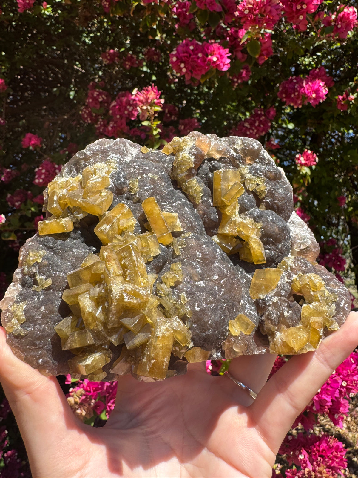 Golden Barite With Botryoidal Chocolate Calcite Specimen | 1.6kg