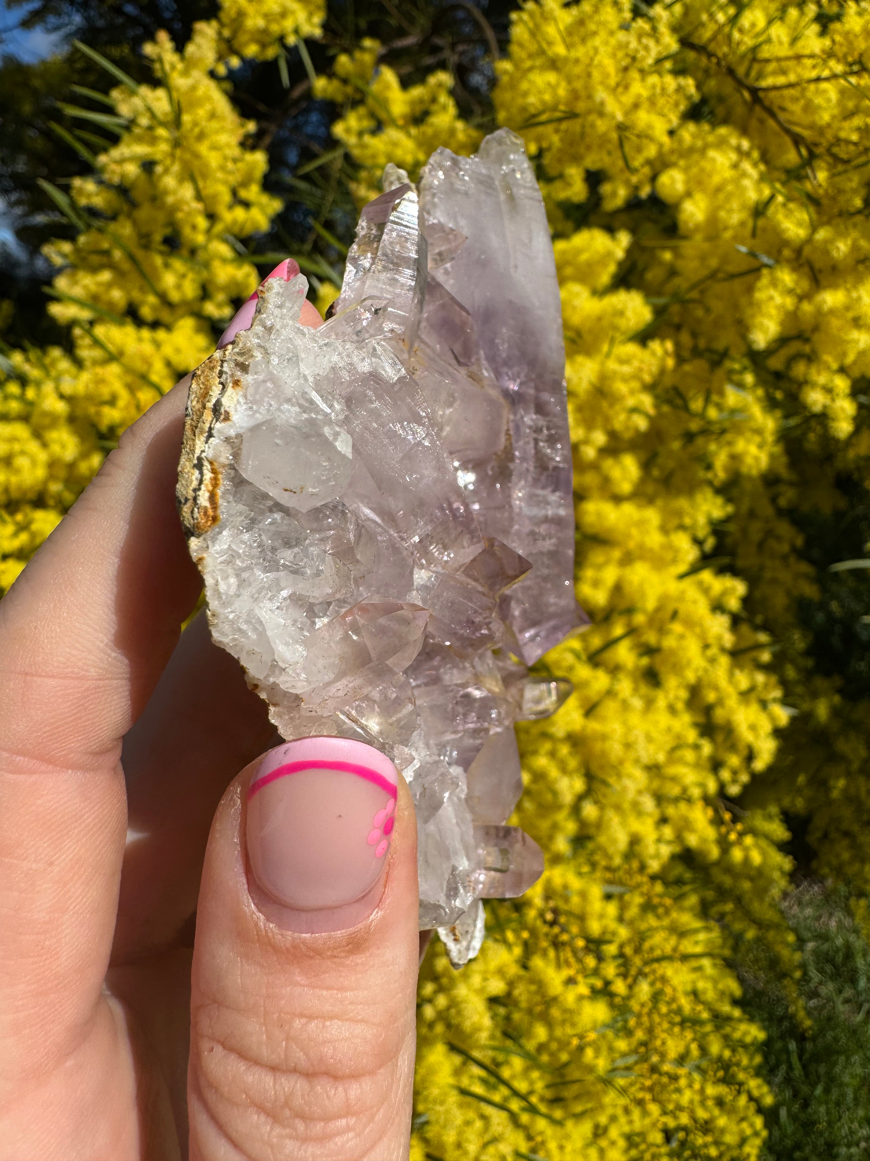 Vera Cruz Amethyst Specimen