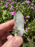 Sugar-Coated Epidote On Quartz Point