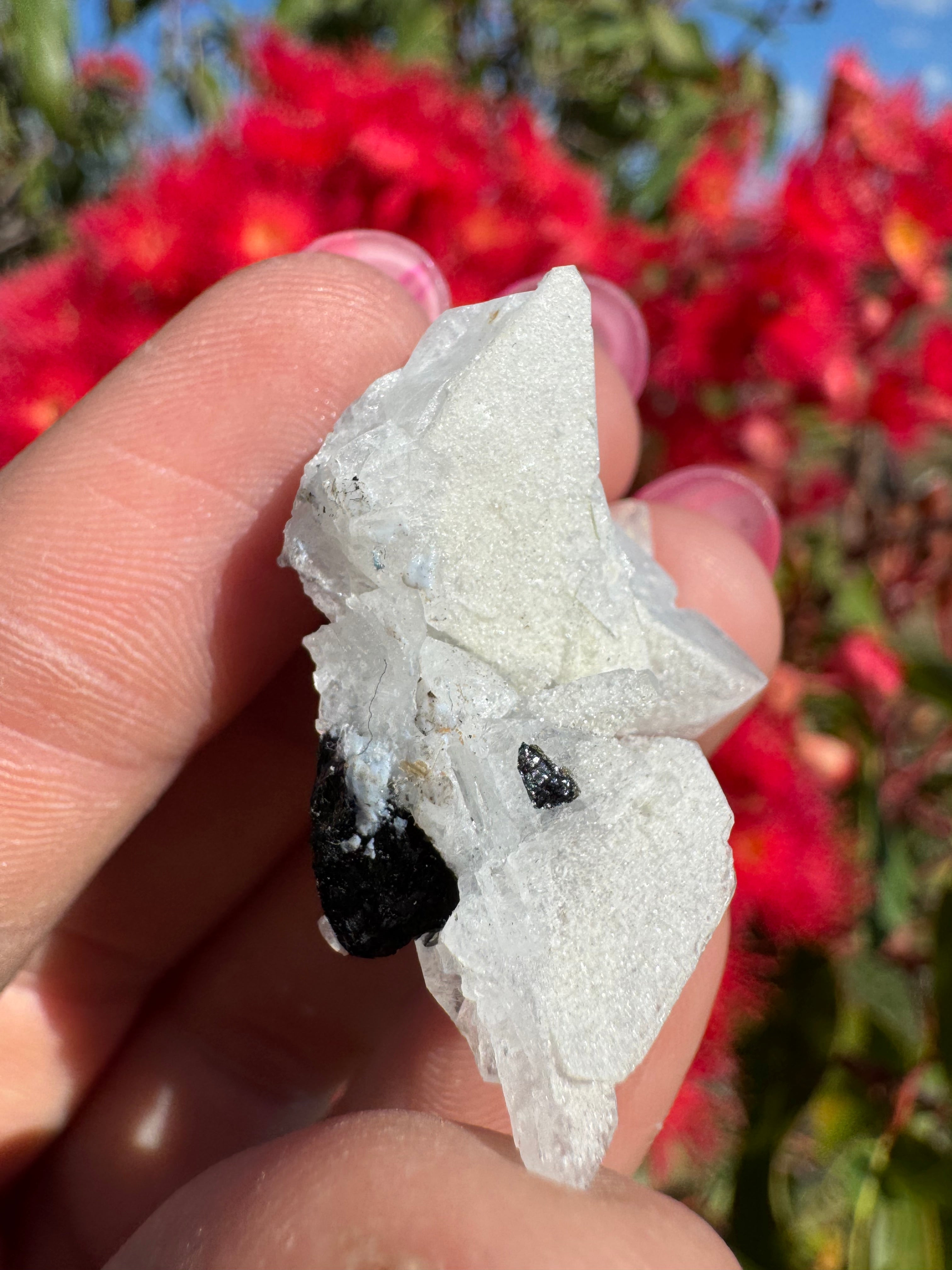 Green Tourmaline and Quartz Specimen - Stak Nala
