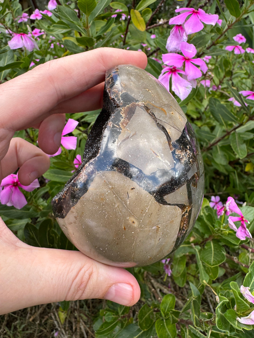 Septarian Druzy Egg with Calcite Inclusions