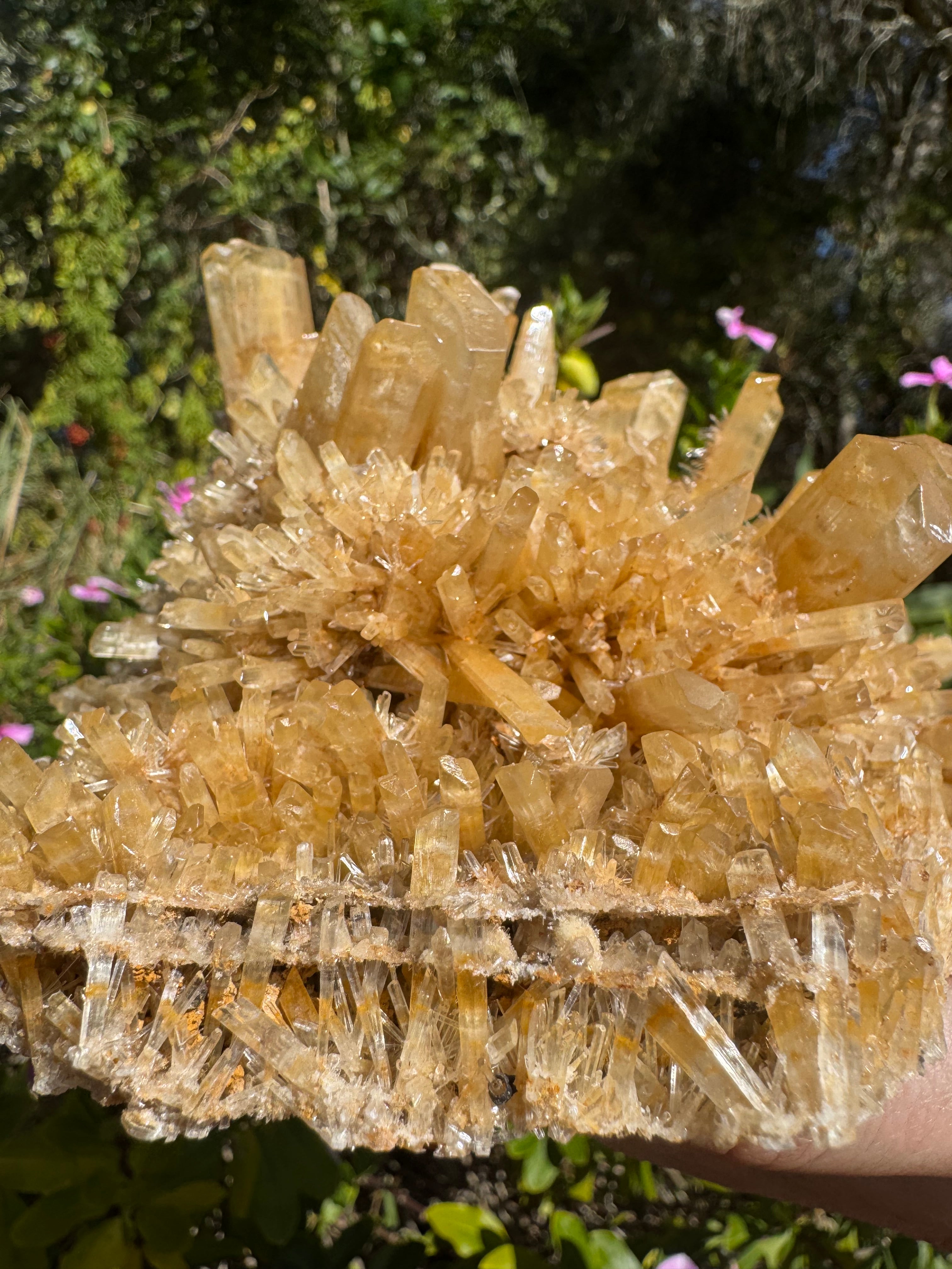 Selenite ‘Gypsum’ Natural Specimen