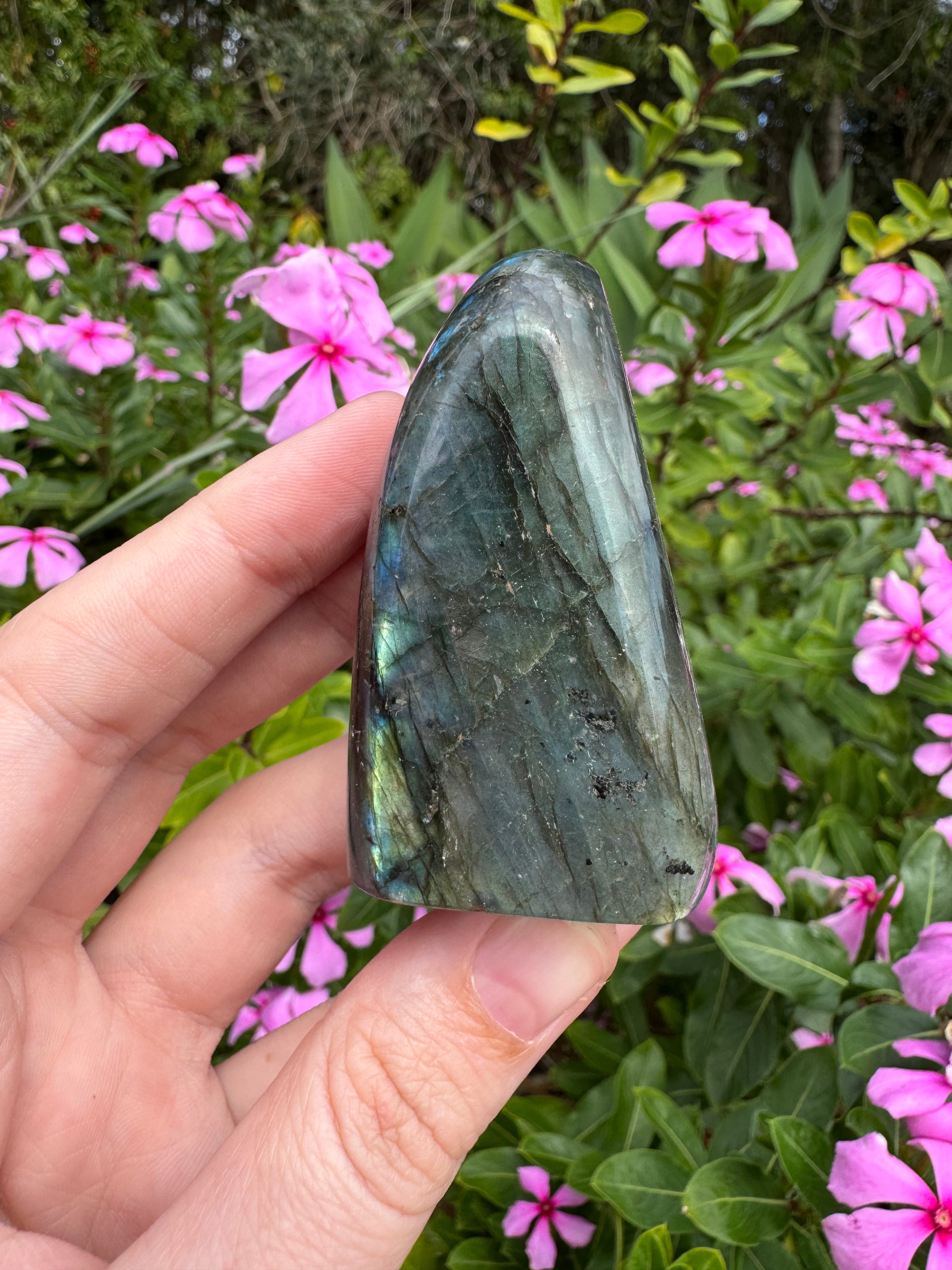 Labradorite Standing Freeform