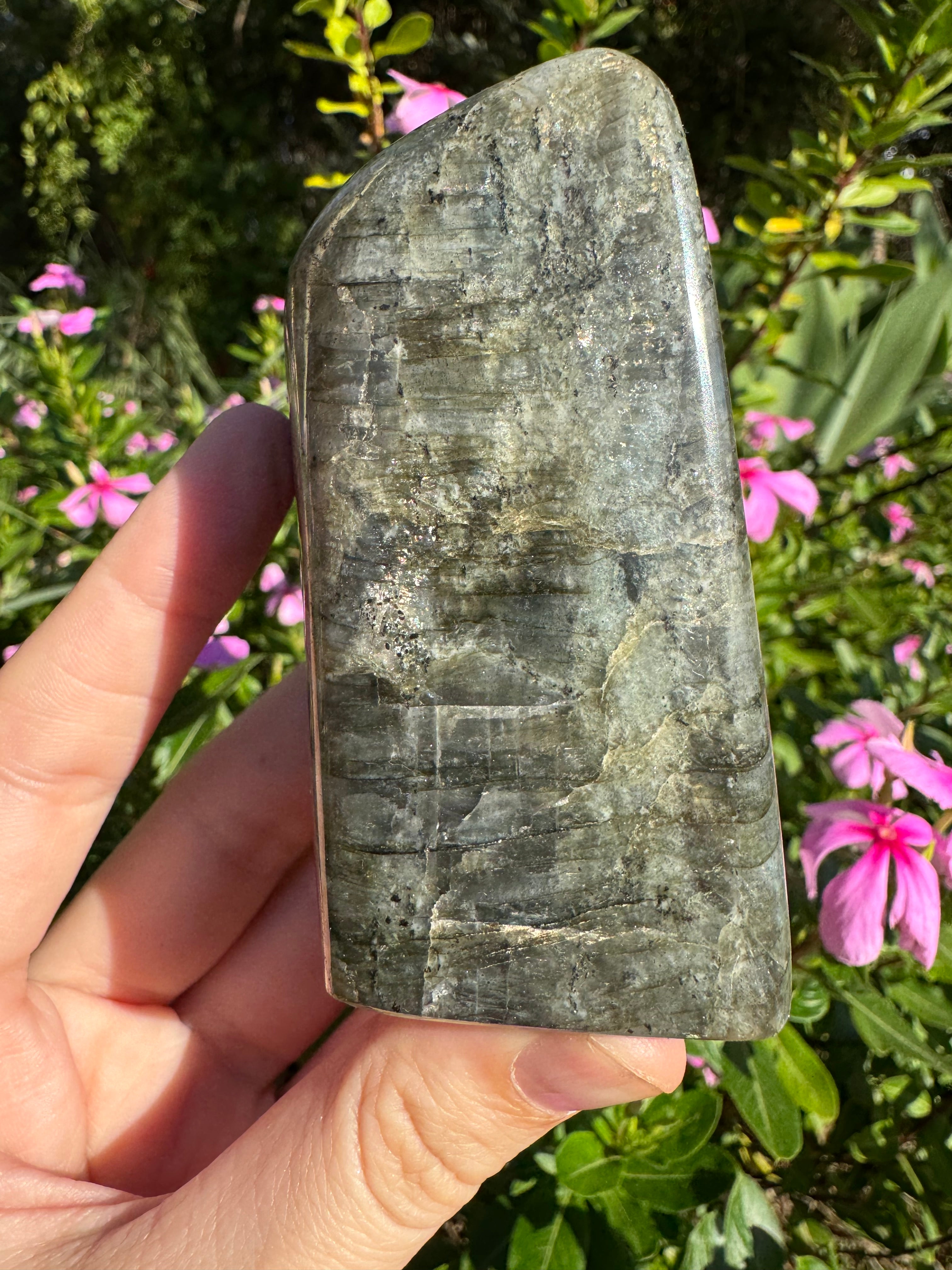 Labradorite Standing Freeform