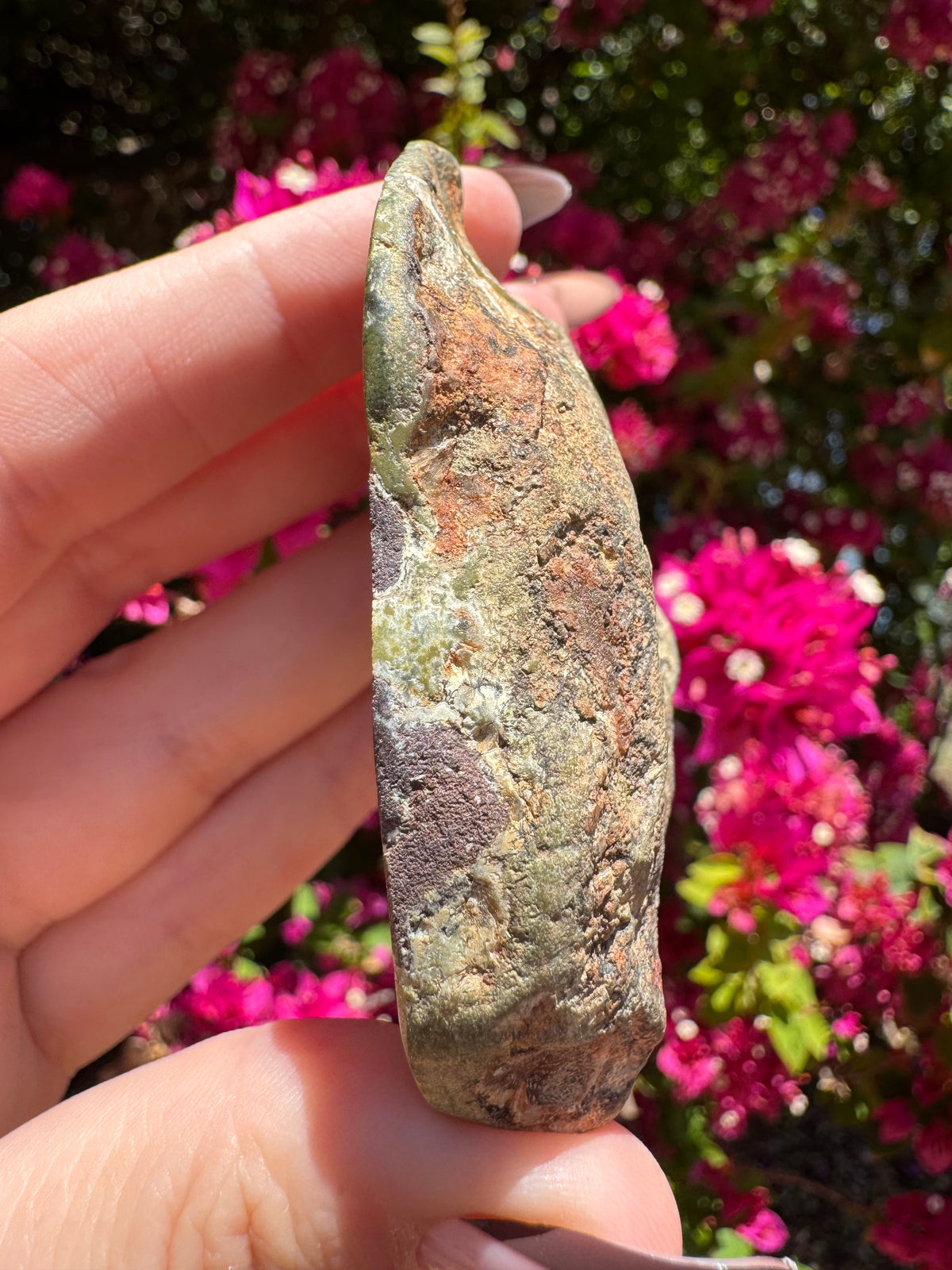 Polished Prehnite Slice | Wave Hill