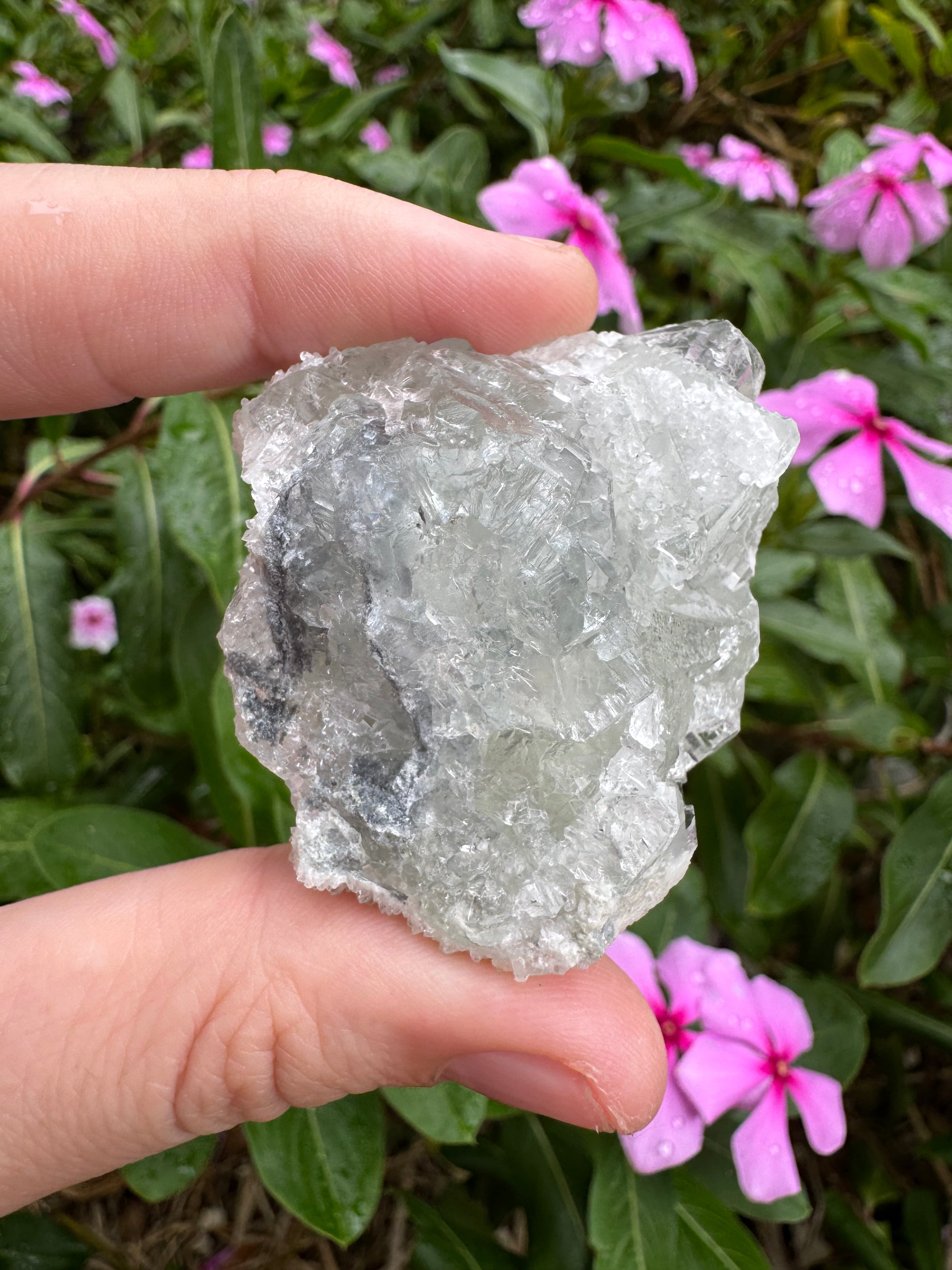 Sugar-Coated Cubic Fluorite Cluster