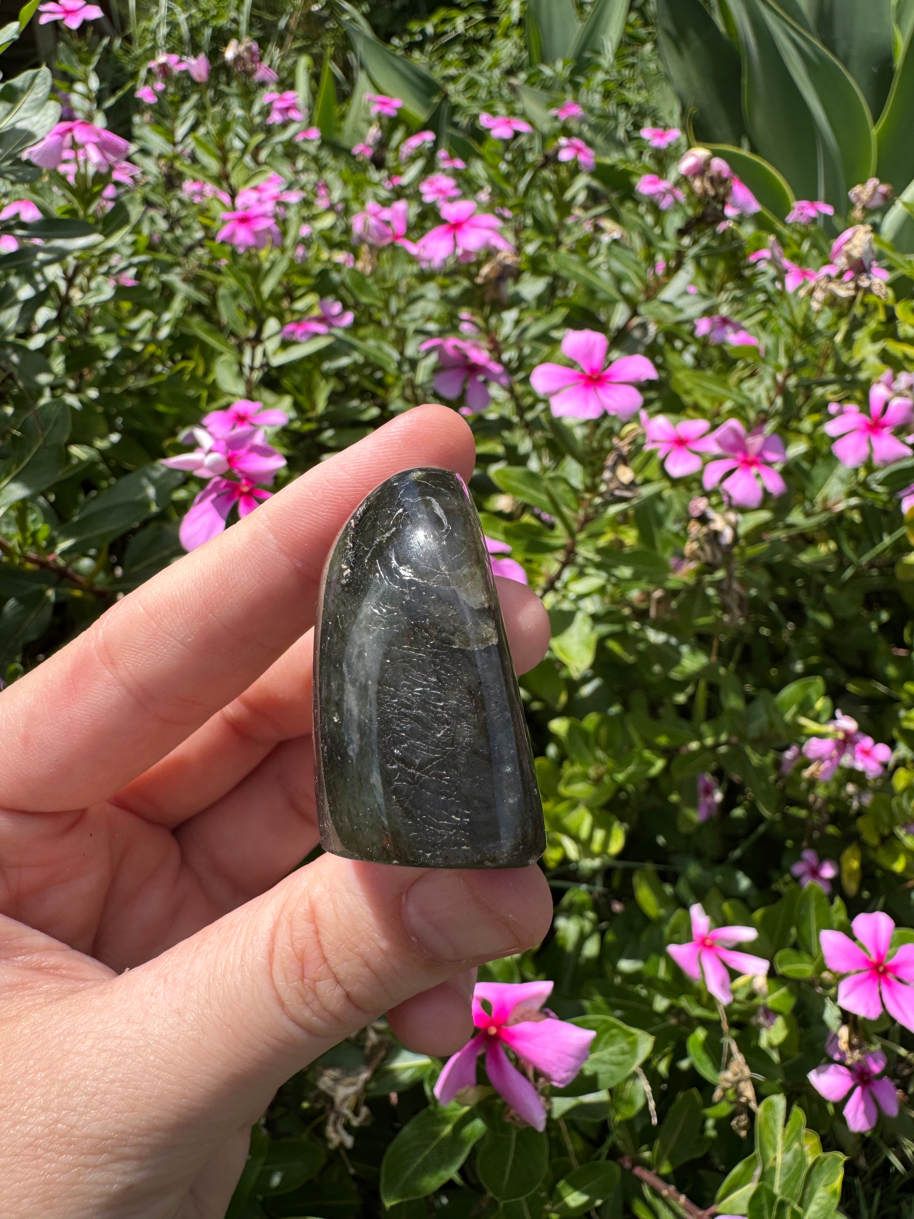 Spectrolite Labradorite Freeform