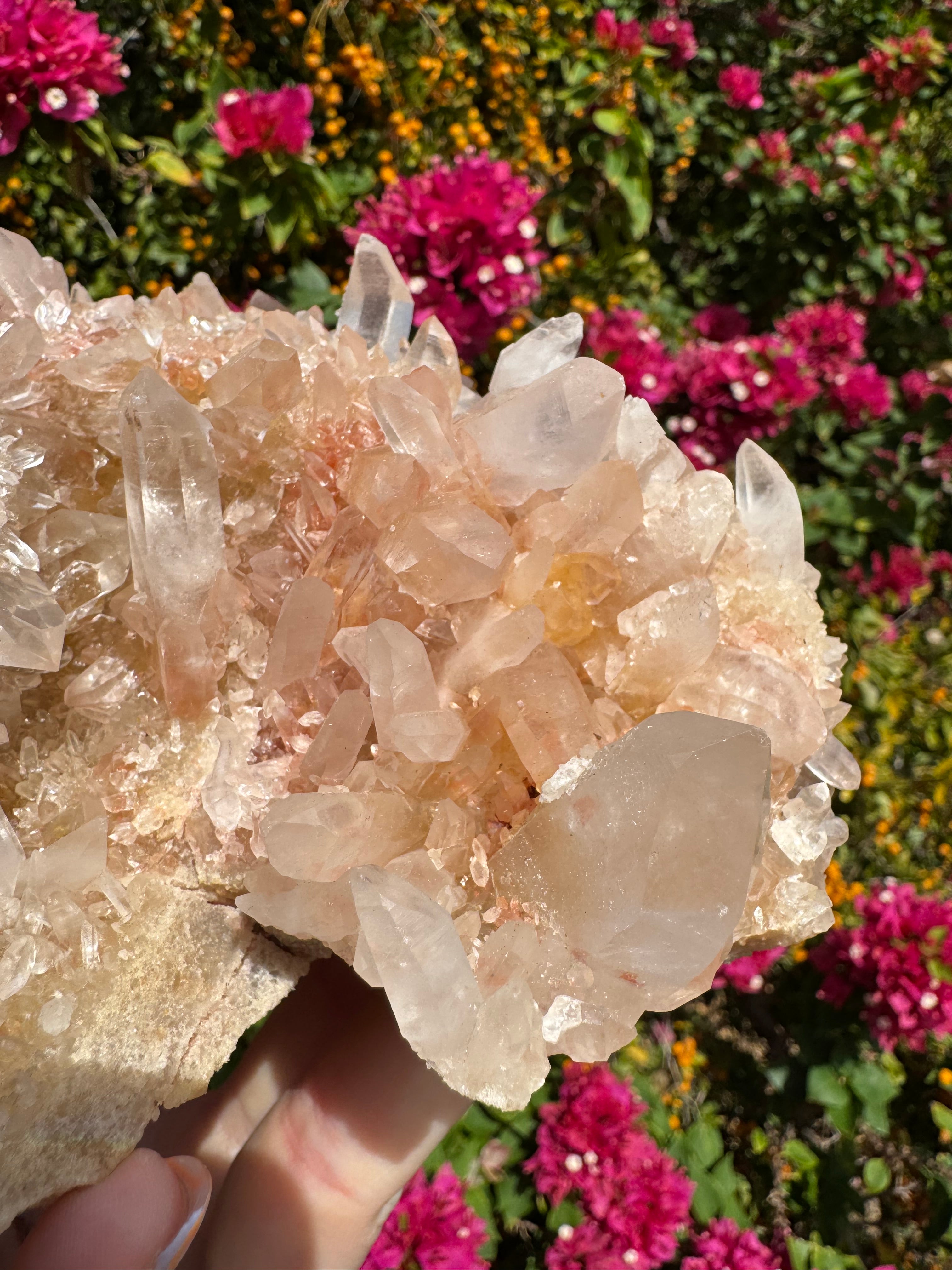 Pink Himalayan Samadhi Quartz Cluster