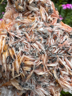 Cerussite on Barite Cluster Specimen